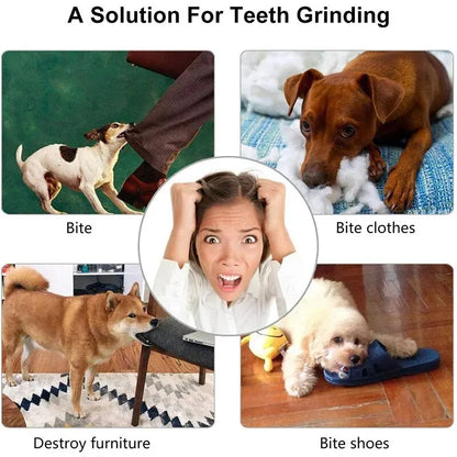 Bounce Buddy Dog Ball