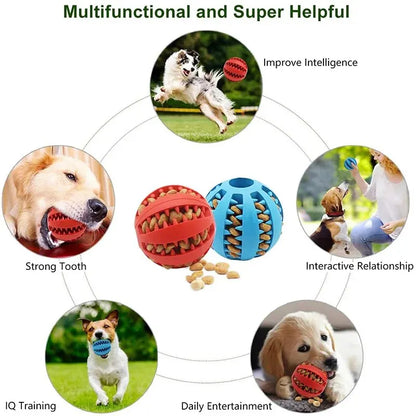 Bounce Buddy Dog Ball