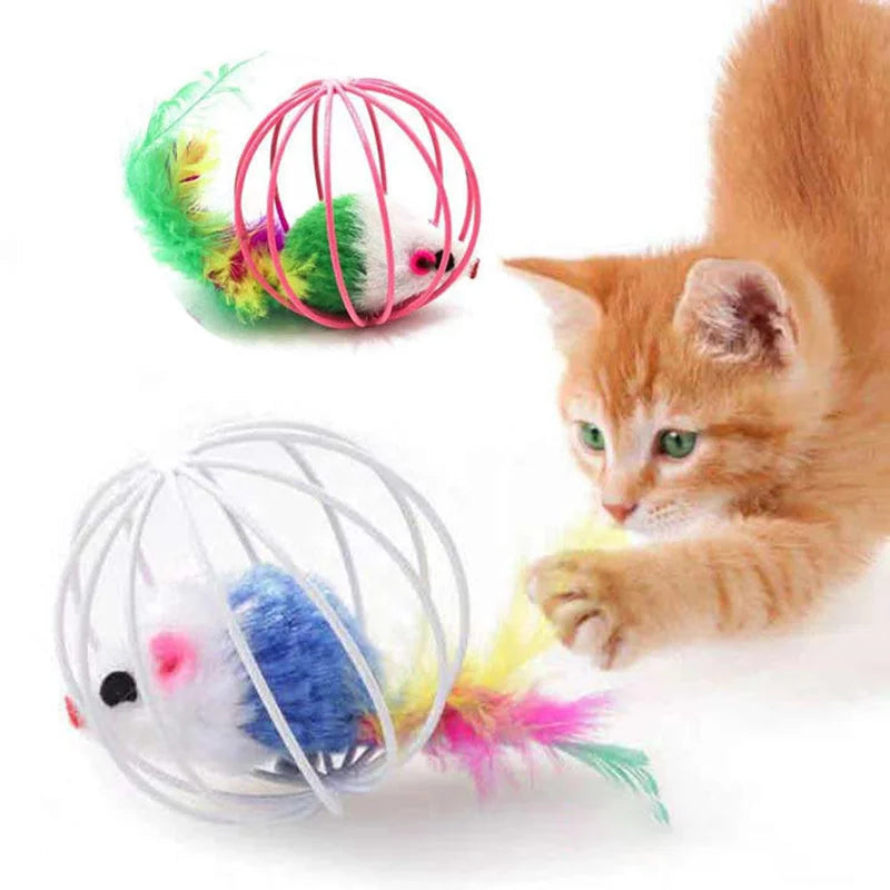 Colorful Cat Chase Toy