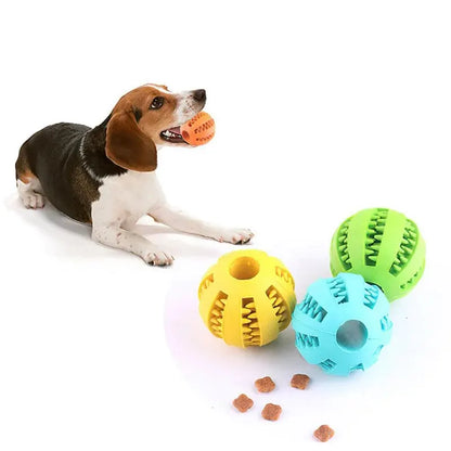 Bounce Buddy Dog Ball